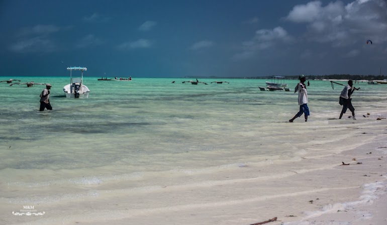 hakuna matata na plazach zanzibaru 46