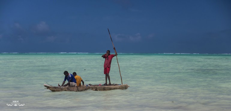 hakuna matata na plazach zanzibaru 47
