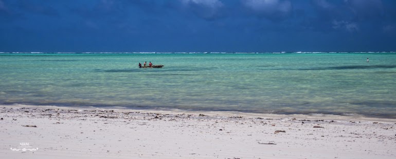 hakuna matata na plazach zanzibaru 48