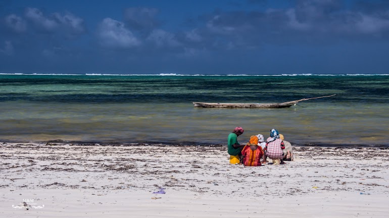 hakuna matata na plazach zanzibaru 51
