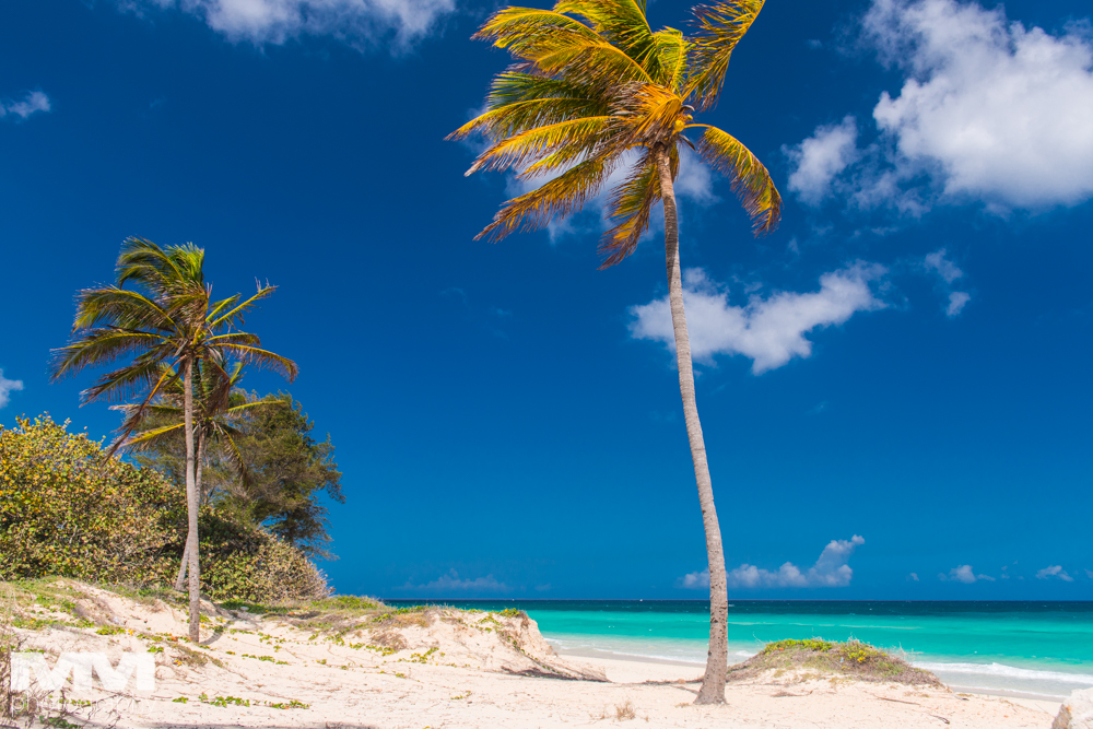 hawana playas del este 15