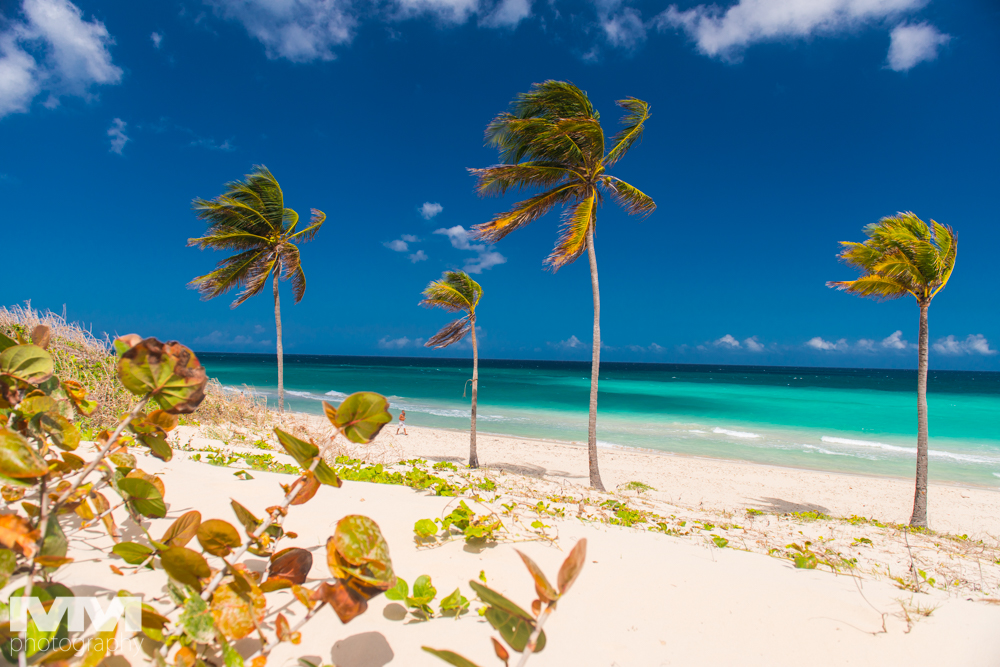 hawana playas del este 16