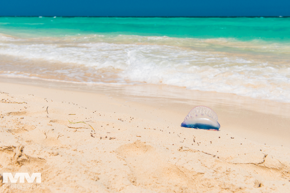 hawana playas del este 22