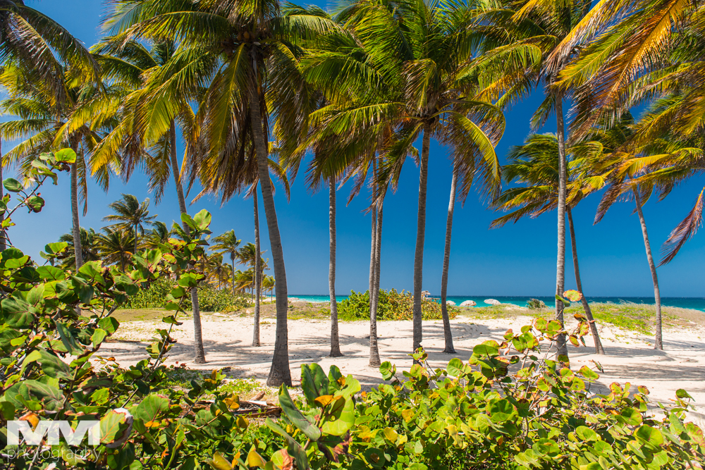 hawana playas del este 34