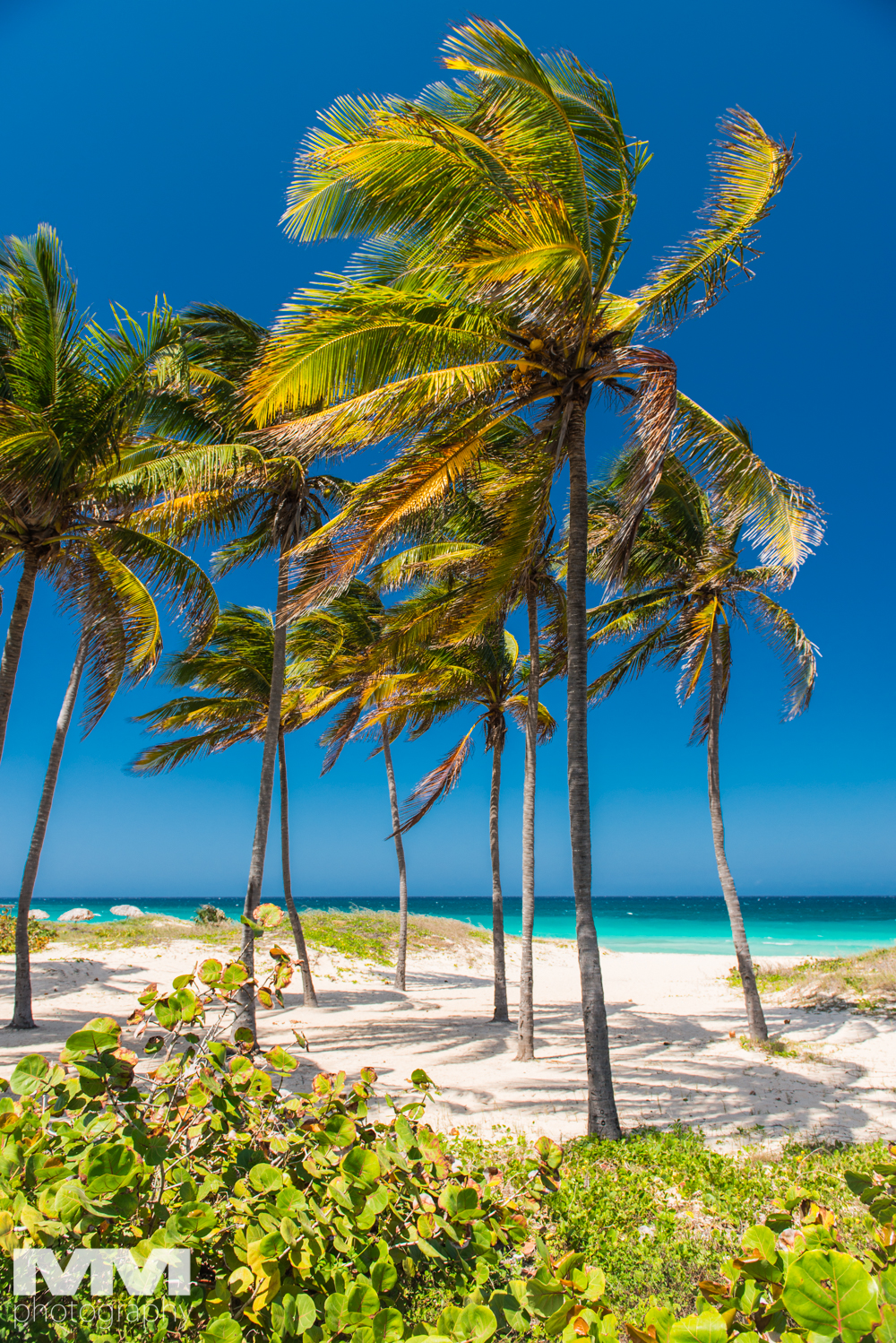 hawana playas del este 35