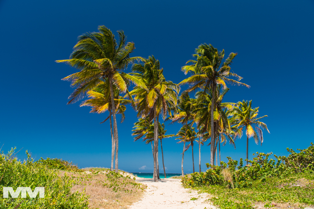 hawana playas del este 36