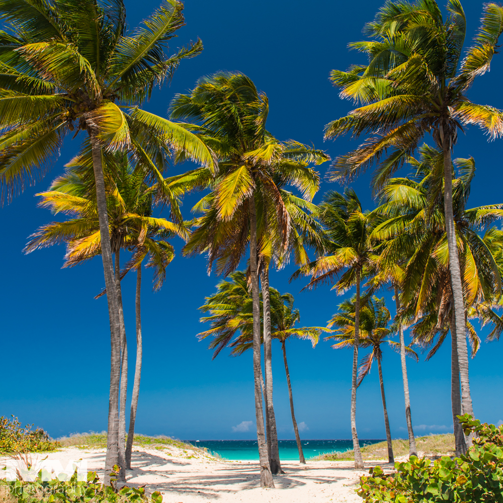 hawana playas del este 38