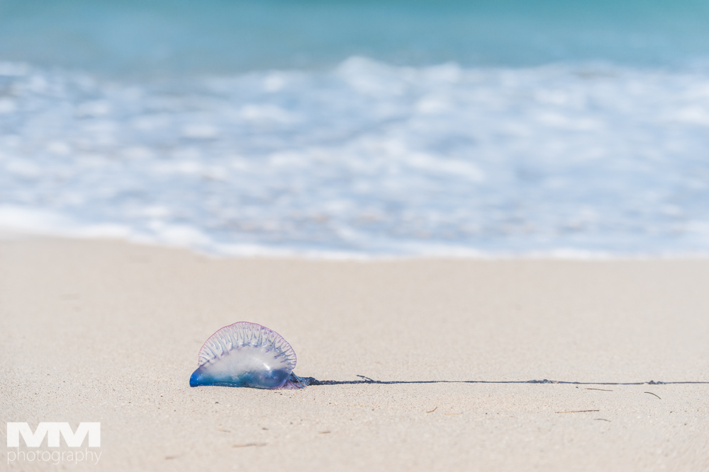 hawana playas del este 59