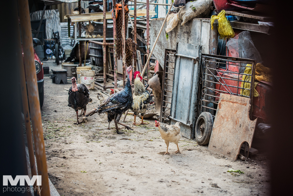 hawana playas del este 69