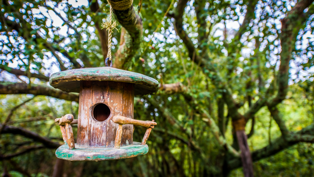 Hobbiton-Nowa-Zelandia-25