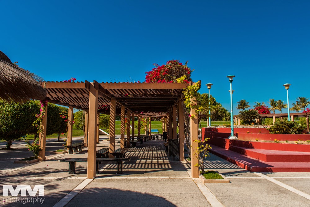 jumeirah beach park al burj al arab 15