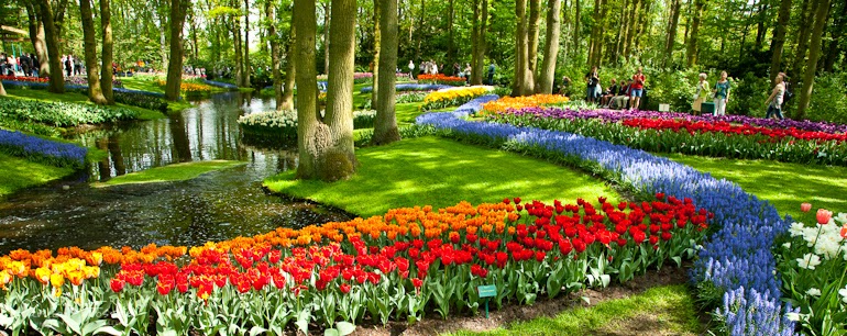 keukenhof 05