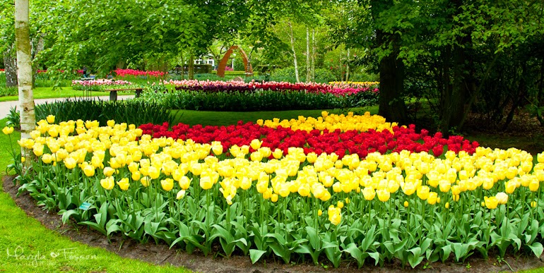 keukenhof 09