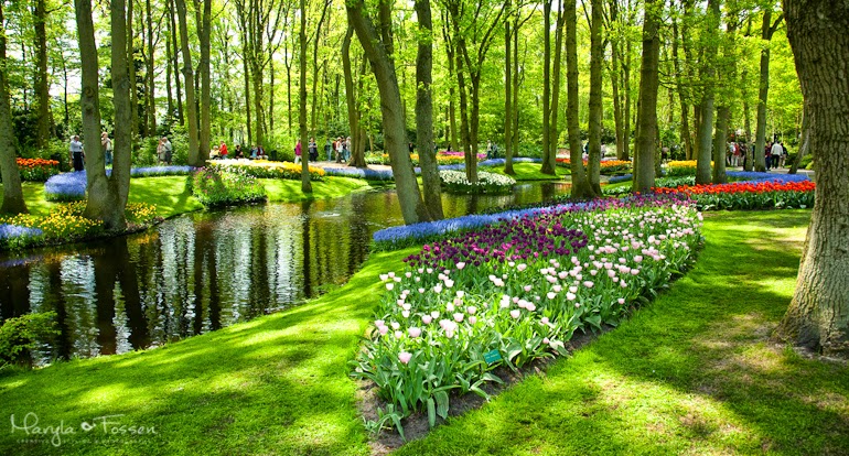 keukenhof 17