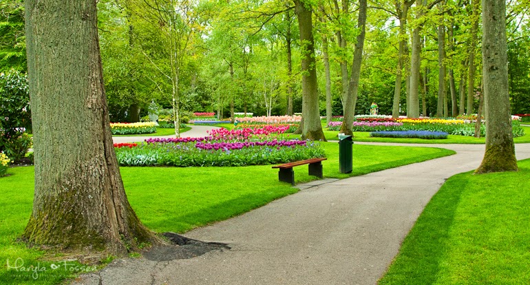 keukenhof 21