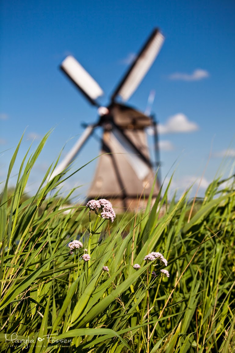 kinderdijk 01