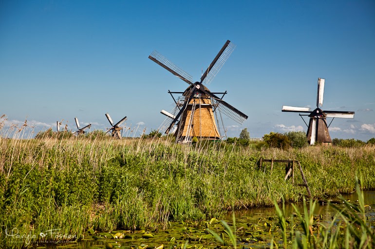 kinderdijk 07