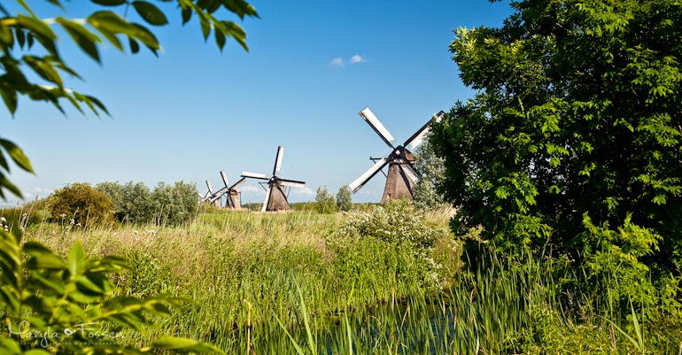 kinderdijk 08