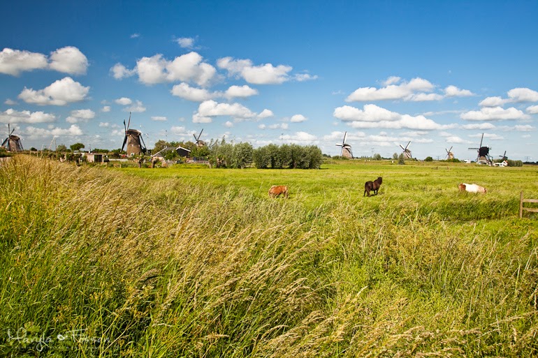 kinderdijk 13