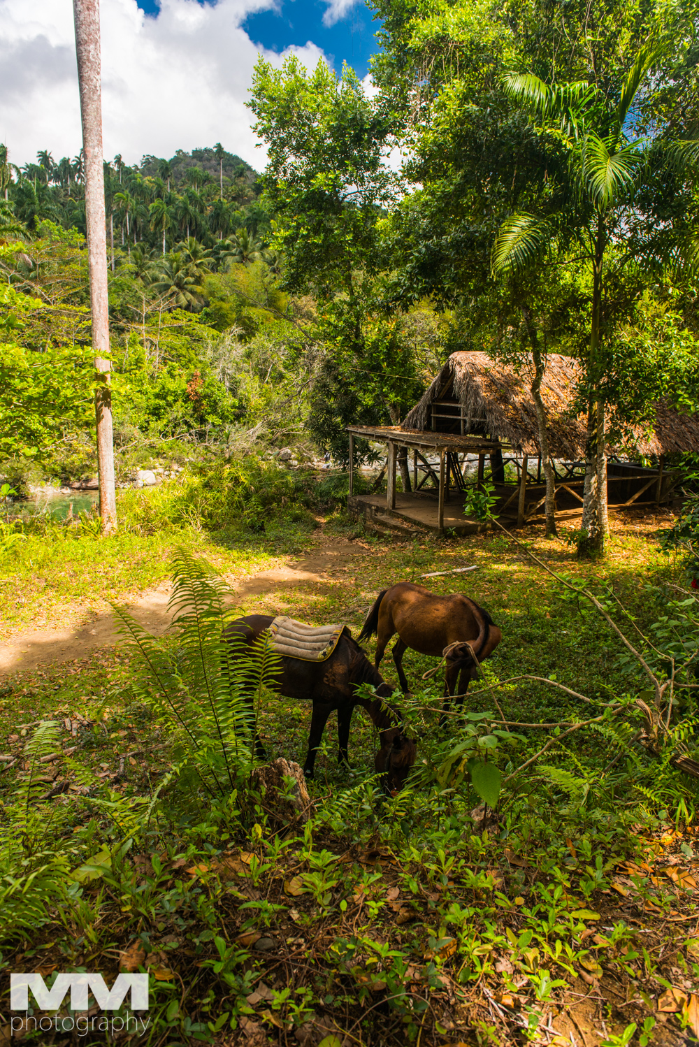 kuba baracoa yunke park 14