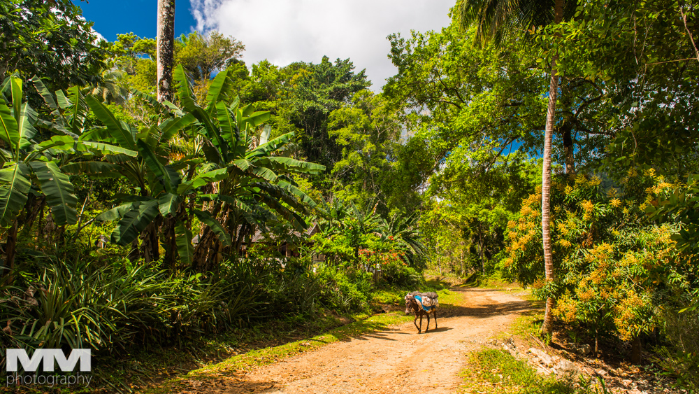kuba baracoa yunke park 15