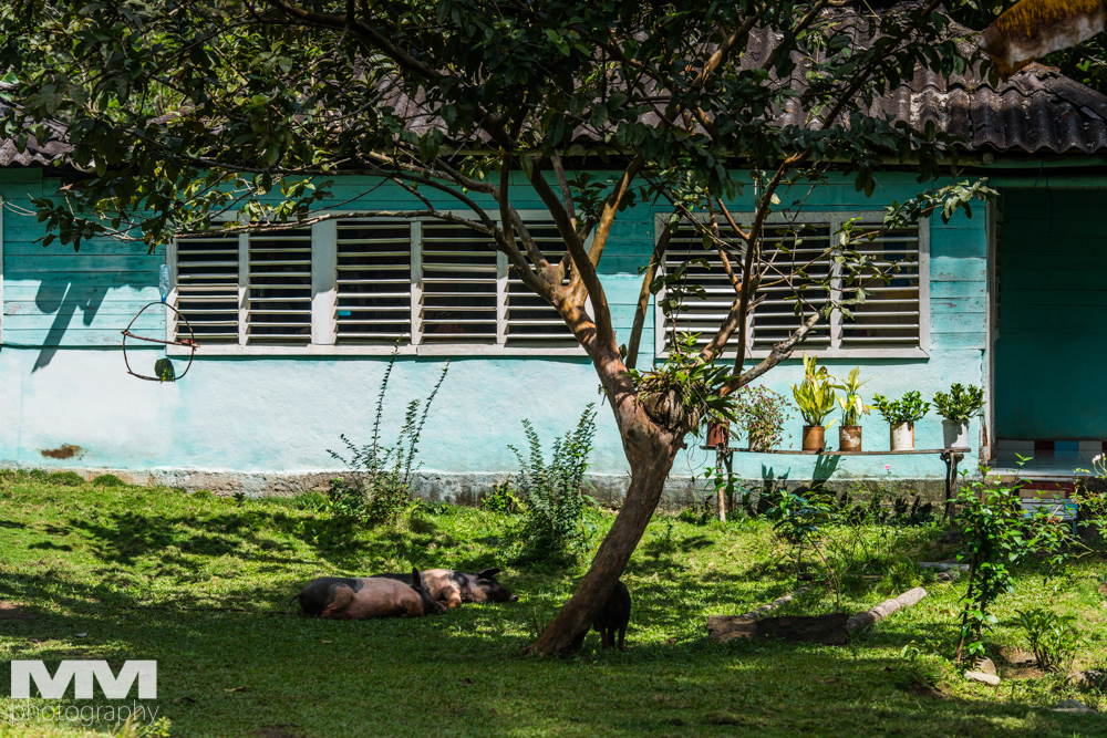 kuba baracoa yunke park 23