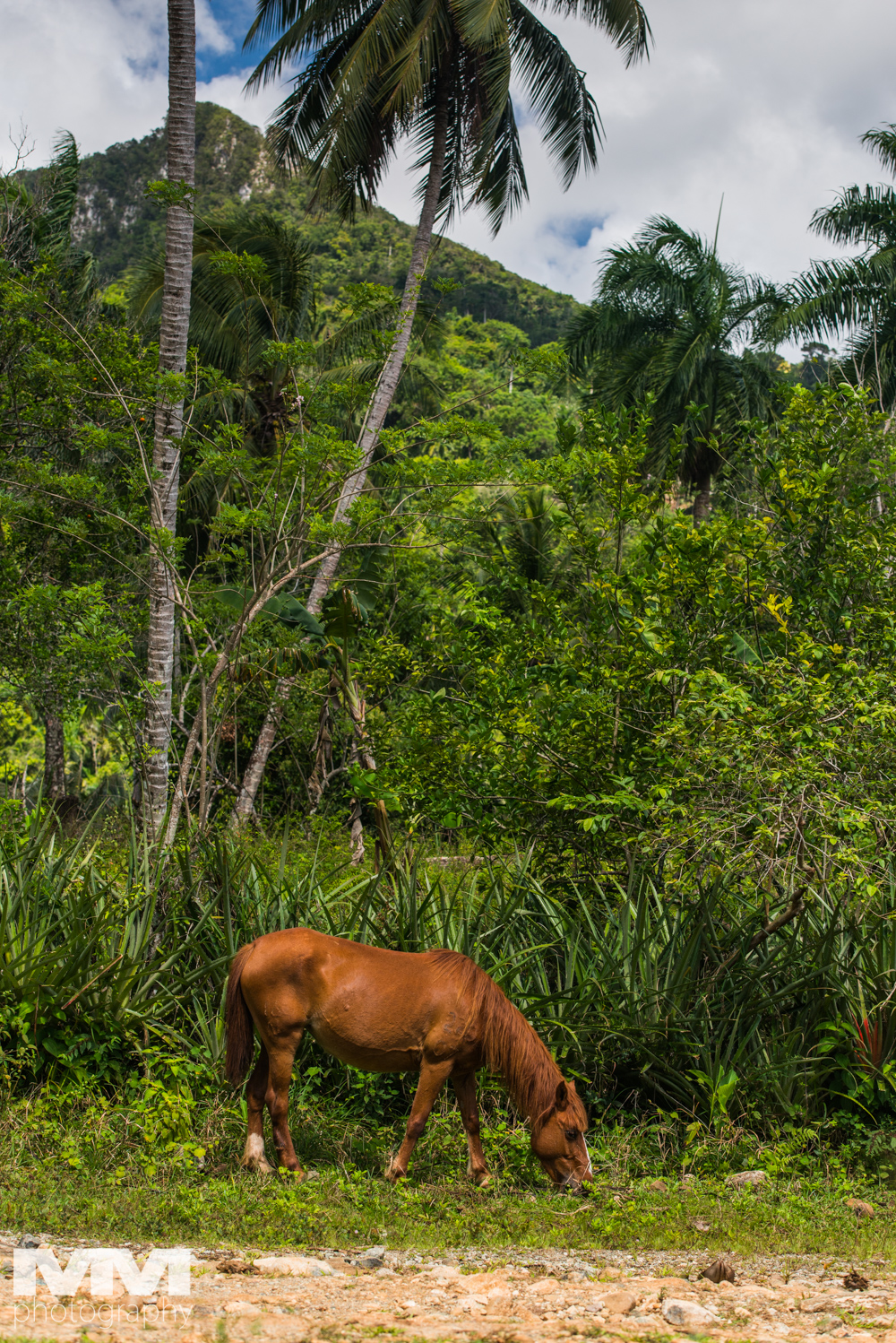 kuba baracoa yunke park 28