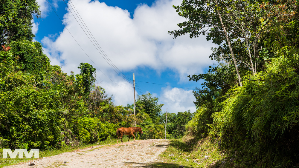kuba baracoa yunke park 60