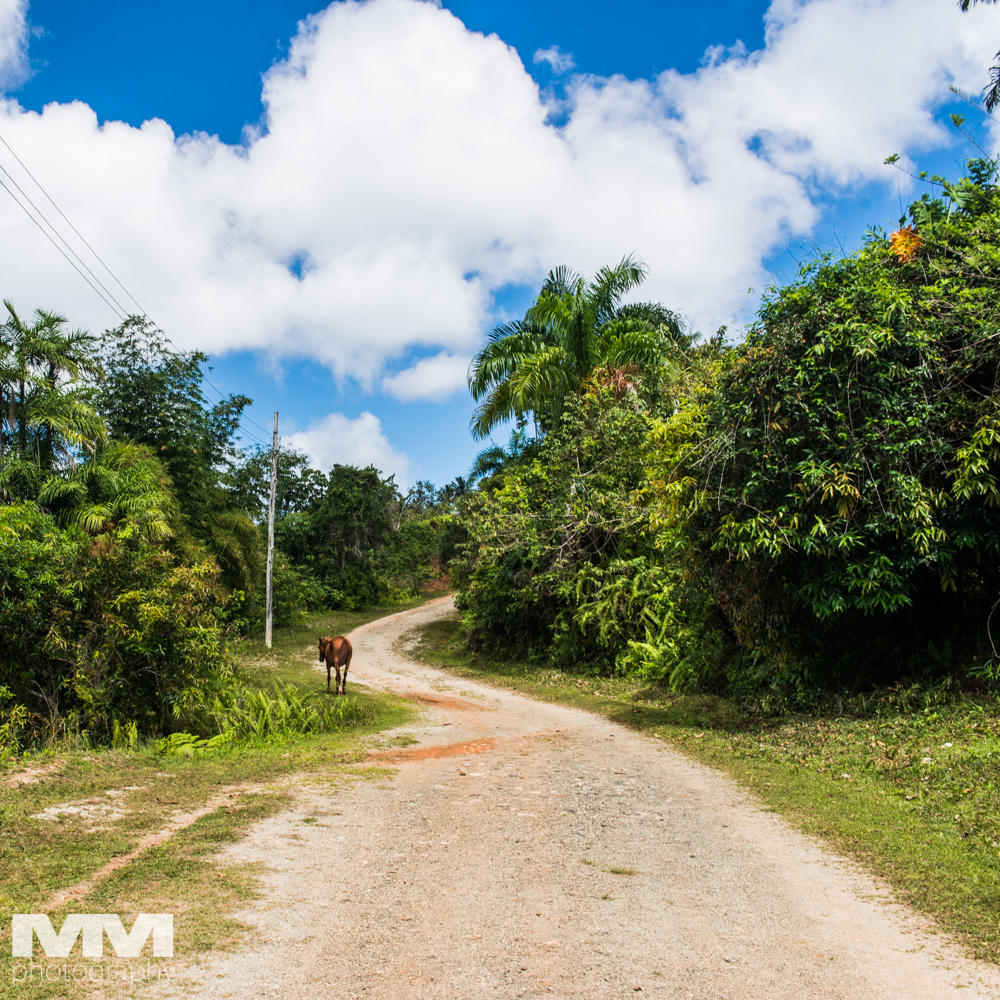 kuba baracoa yunke park 61