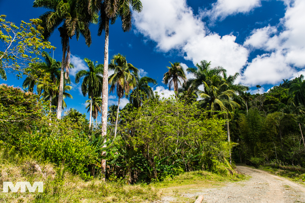 kuba baracoa yunke park 64