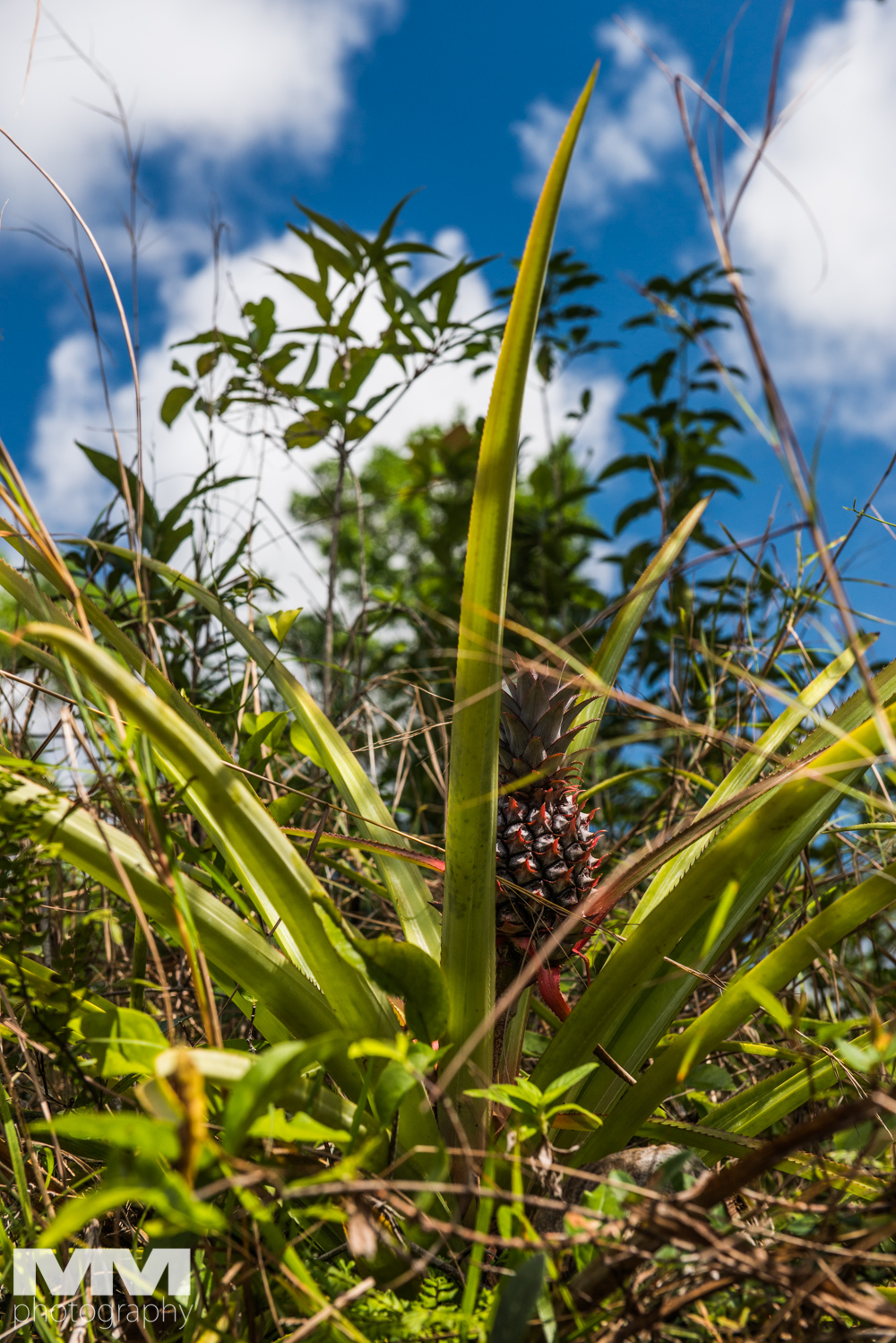 kuba baracoa yunke park 74