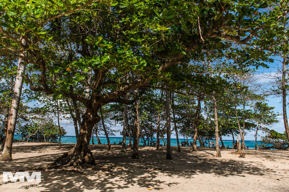 kuba baracoa yunke park 81