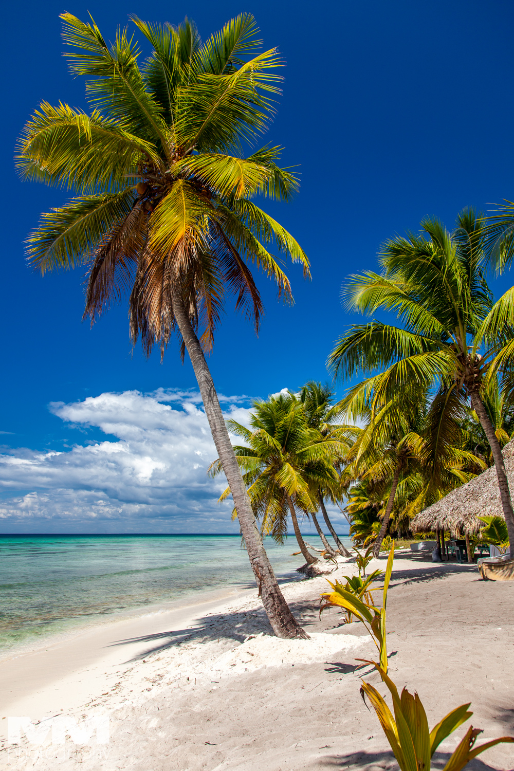 kuba czy dominikana gdzie jechac porownanie 04 1