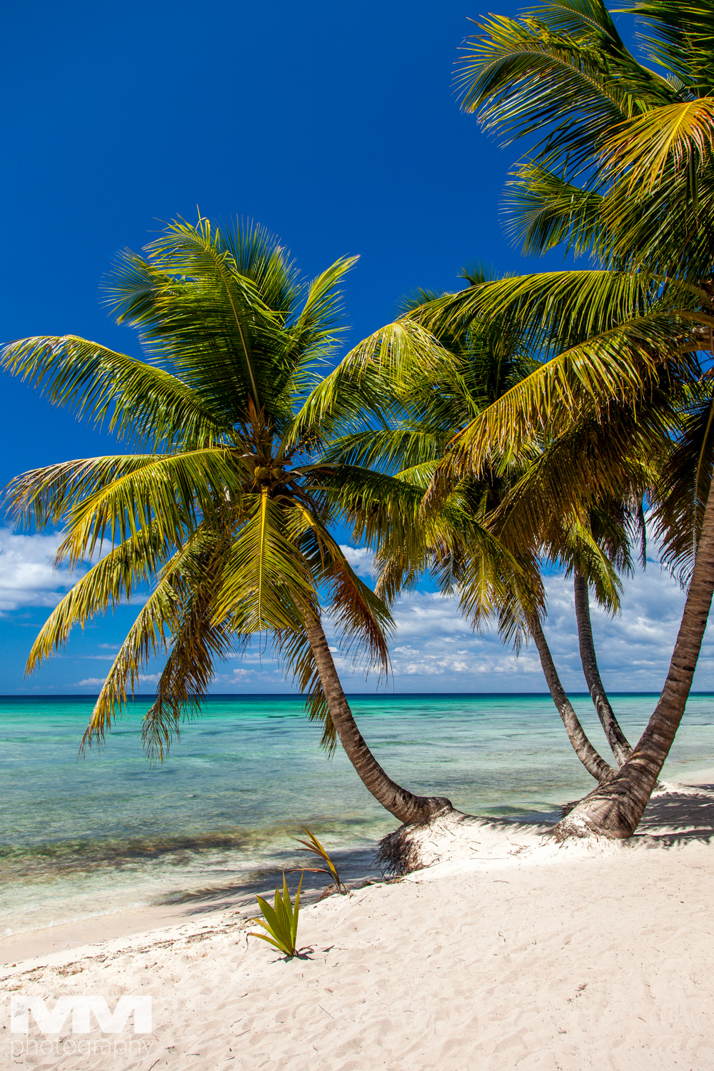 kuba czy dominikana gdzie jechac porownanie 16 1