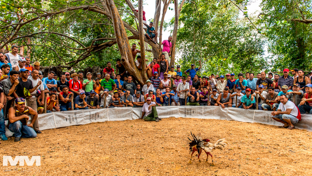 kuba czy dominikana gdzie jechac porownanie 27 1