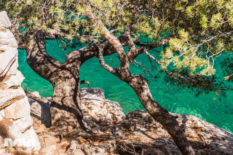 les calanques 49