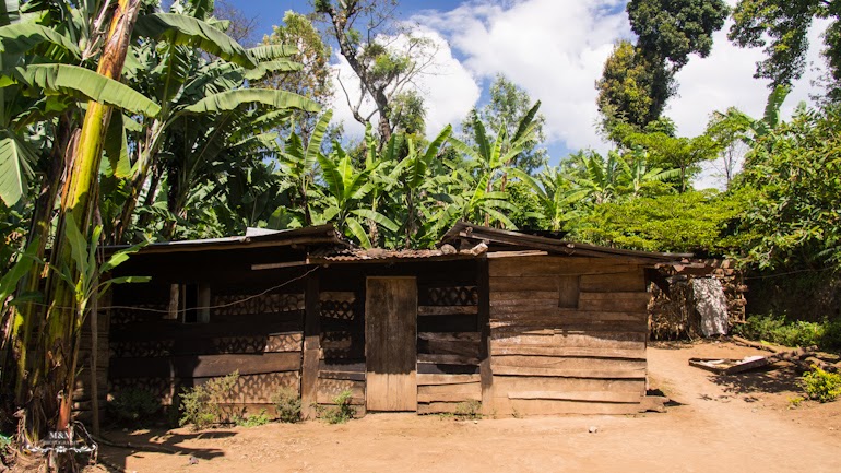 life at the foot of kilimanjaro 01