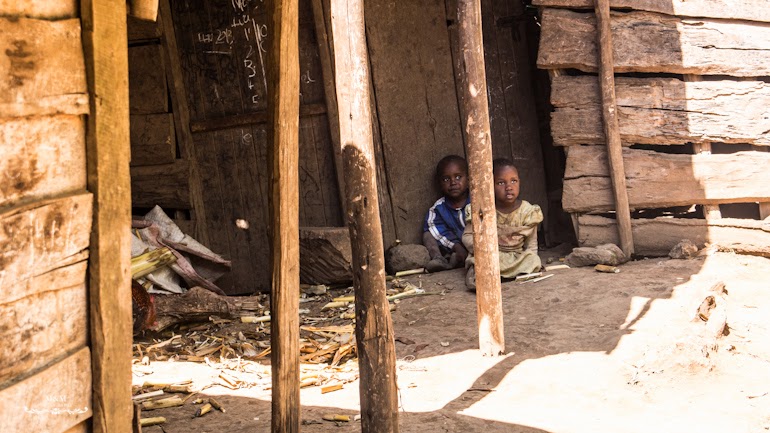 life at the foot of kilimanjaro 02