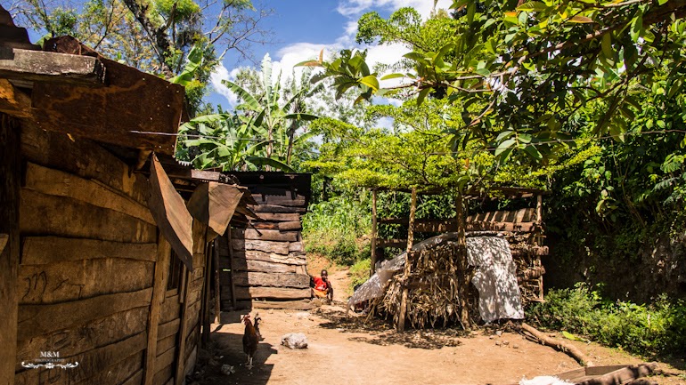 life at the foot of kilimanjaro 03