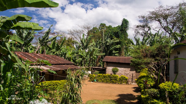 life at the foot of kilimanjaro 07