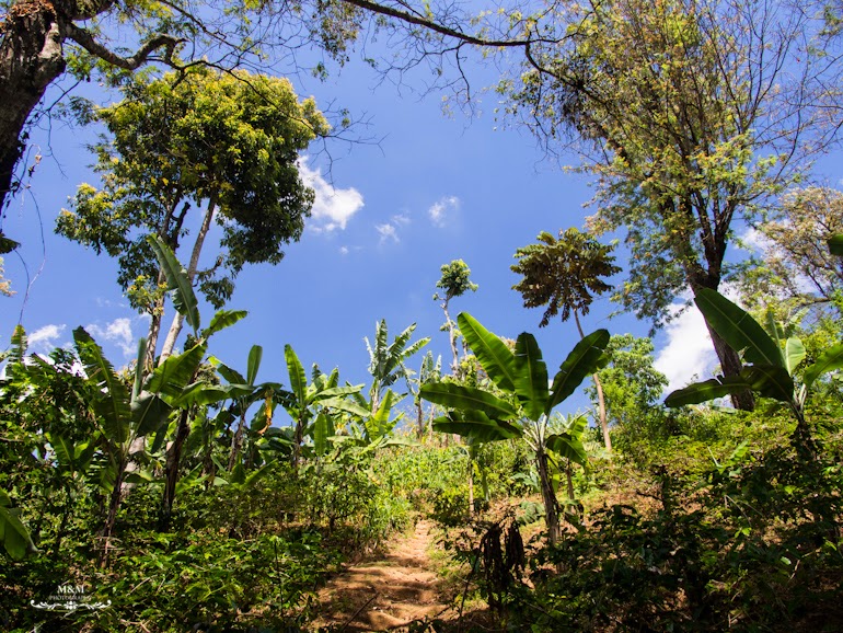 life at the foot of kilimanjaro 14