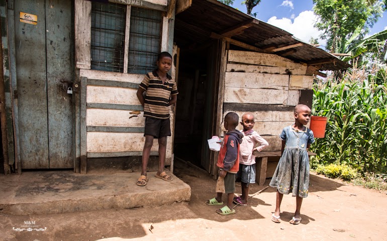 life at the foot of kilimanjaro 17