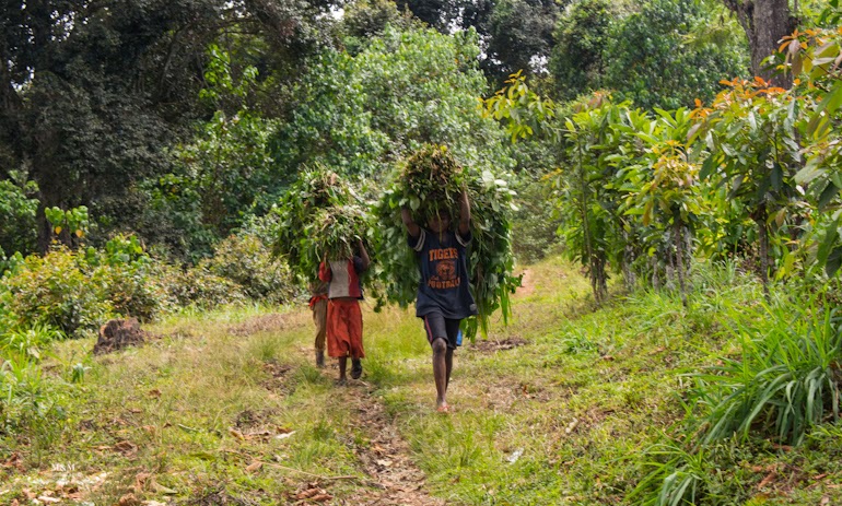 life at the foot of kilimanjaro 18
