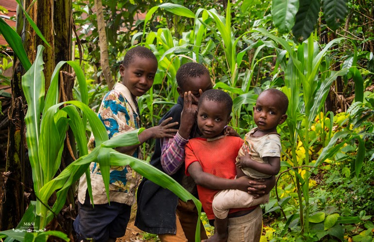 life at the foot of kilimanjaro 20
