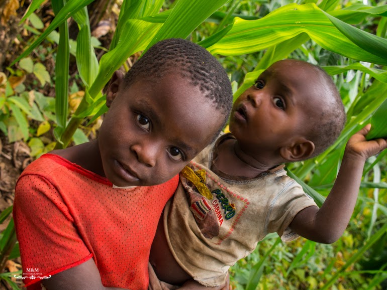 life at the foot of kilimanjaro 21