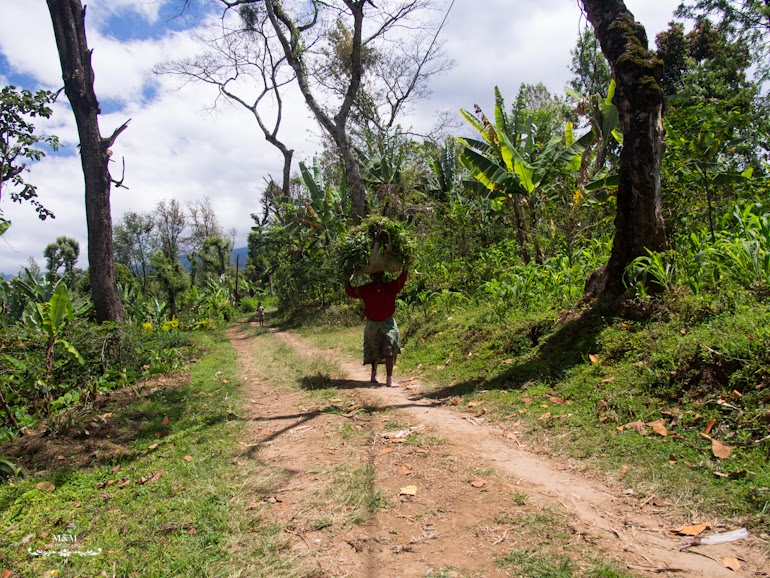 life at the foot of kilimanjaro 22
