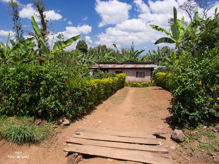 life at the foot of kilimanjaro 26