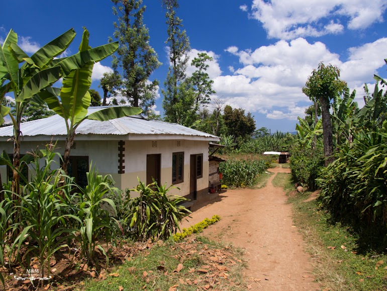 life at the foot of kilimanjaro 27