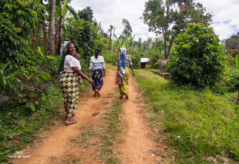 life at the foot of kilimanjaro 29