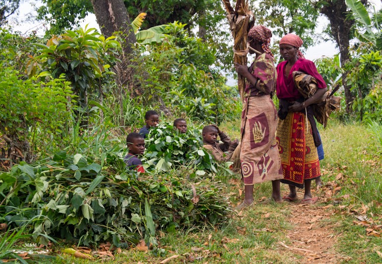 life at the foot of kilimanjaro 32